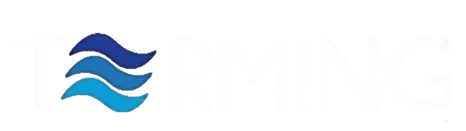 Terming Logo Blanco